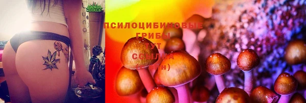 героин Алексин