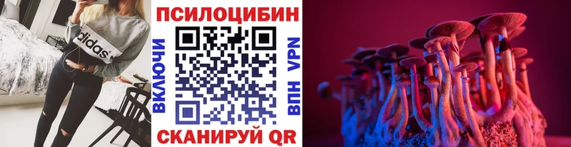 хочу   Дзержинский  Галлюциногенные грибы ЛСД 